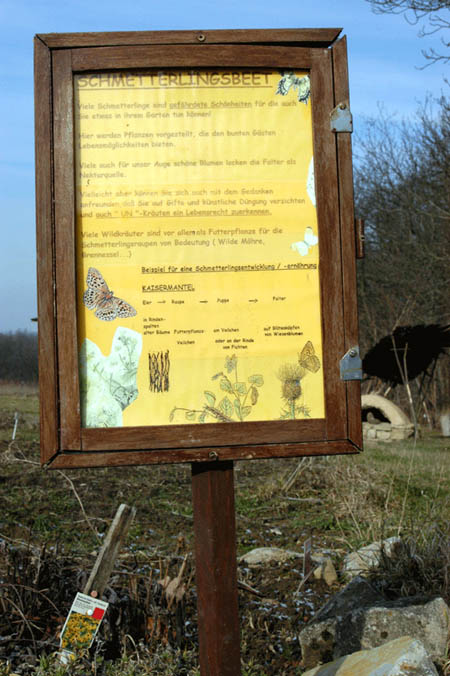 Schmetterlingsbeet