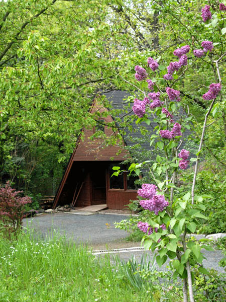 Finnh&uuml;tte mit Austellung 3