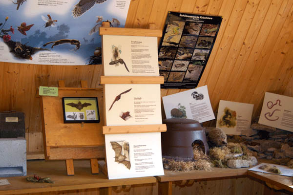 Austellung in der Finnh&uuml;tte 1