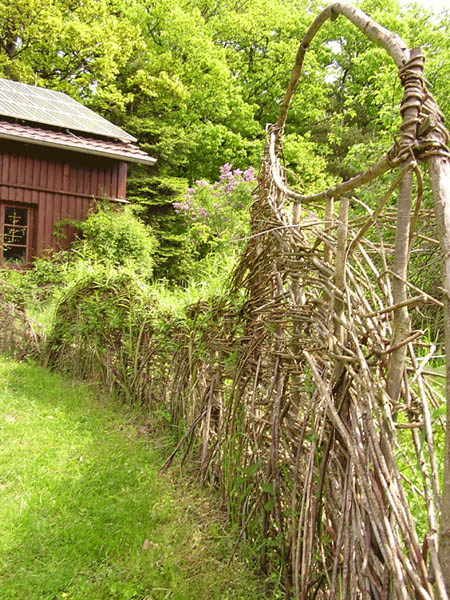 Weidenzaun 2
