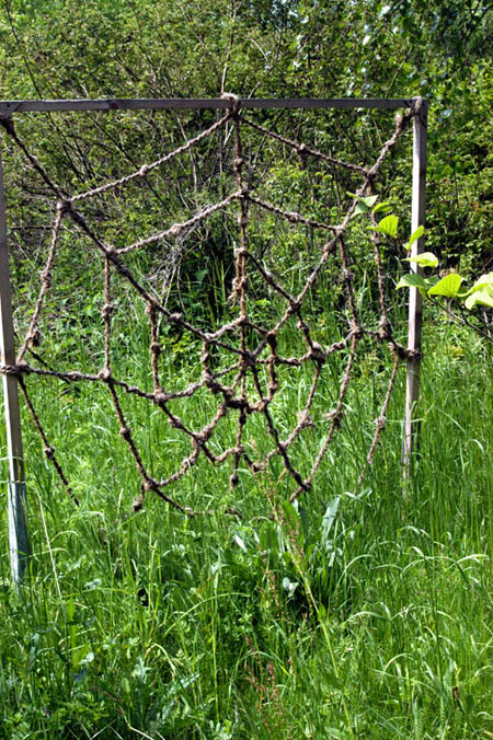 gekn&uuml;pftes Spinnennetz