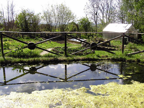 Teichanlagen 4